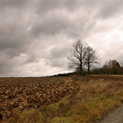 Ves Studánky