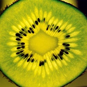 Plátek kiwi