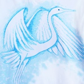 Volavka 